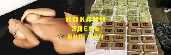 сатива Абинск