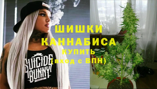 сатива Абинск
