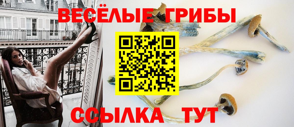 Псилоцибиновые грибы Cubensis Воткинск